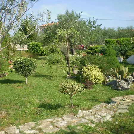 Segio 1803 * Vodnjan